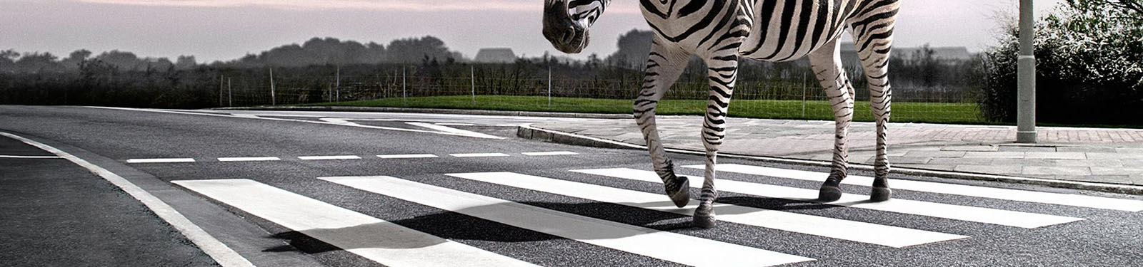 Вибір та зміна системи оподаткування сільгосппідприємств >>>